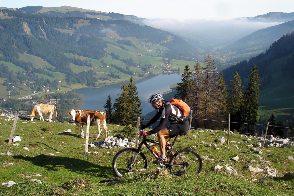 Hostellerie Am Schwarzsee Bad-Schwarzsee Dış mekan fotoğraf