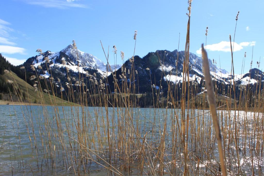 Hostellerie Am Schwarzsee Bad-Schwarzsee Dış mekan fotoğraf